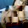alisonx8124