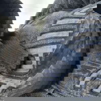 bezar69