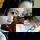 feathrose21