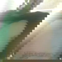 feddy67