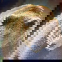 hornydickfullofcum
