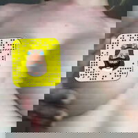 jnt369
