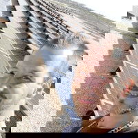 johanvreydj89