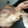 lovesex