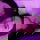 maddymare-