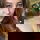 mariajoe4792