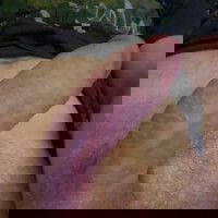 maxwelll45