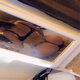 mery17