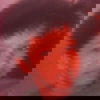 ouykcuf