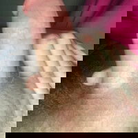 scott