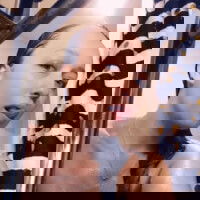 shakylaray