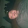 sugarspice33