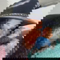 tavy_lyrik