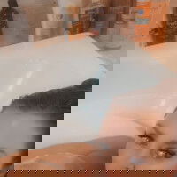 vsvsvsb