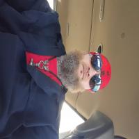 wulffviking