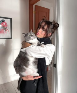 Person with dark hair in a bun holds a large cat in a hallway.
