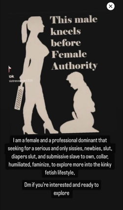 Silhouette of a woman in high heels holding a paddle standing over a kneeling man, with text describing dominance and