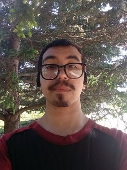 A man with dark hair, glasses, and a mustache wearing a red and black shirt, standing outdoors under a tree.