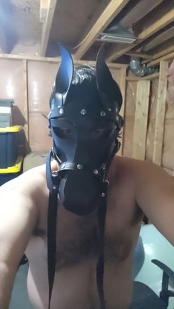 tashacorrey's telegram gallery - ass, porn, femdom, bdsm, Nudes, Blonde, Redhead, Gay, Selfie, Tattoo (5/5)