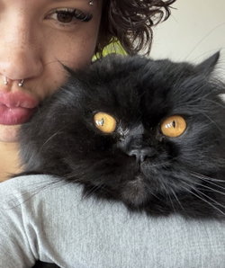 Person with dark hair and a black cat in a close-up selfie.