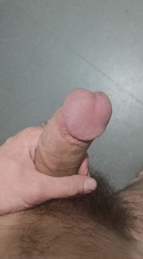 fortidomonik60's telegram gallery - sex, horny, dirty (1/3)
