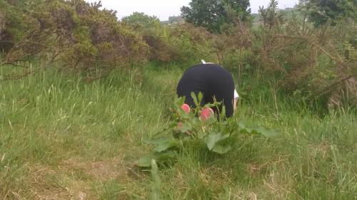 I used to bend over in fields just to get a bit.. still would tbh