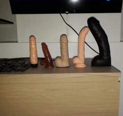 Five sex toys of varying sizes and colors arranged on a wooden surface beneath a TV.