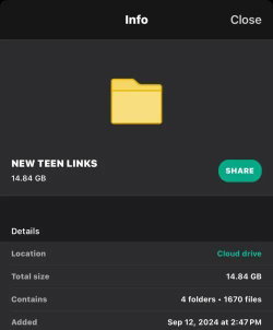 A digital folder interface titled 'NEW TEEN LINKS' with file details, no person or body visible.