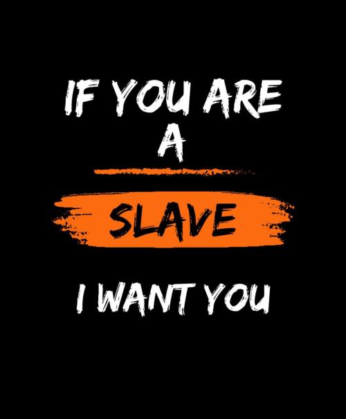 I am pro domme mistress here for a mature and a submissive slut. dm if you’re interested  Telegram-miss_emii Kik-mislaura21