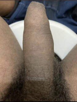 Close-up of a hairy penis, partially erect, with visible skin texture and pubic hair, set against a white surface and