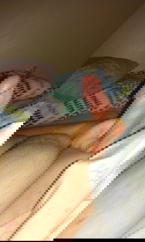 My thick throbbing cock