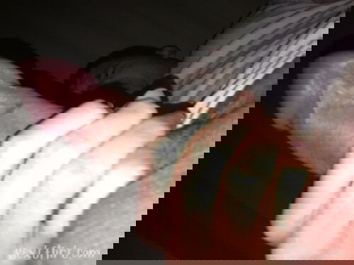 You want ride to mydick