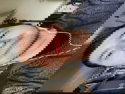 Hello ladies 