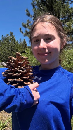 A young woman with light brown hair in a blue long-sleeve shirt holds a large pinecone outdoors under a clear blue sky.