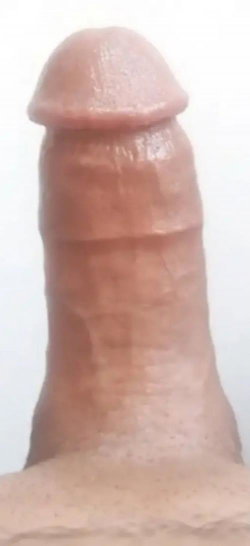 zob's onlyfans photo - nude, sexy, xxx