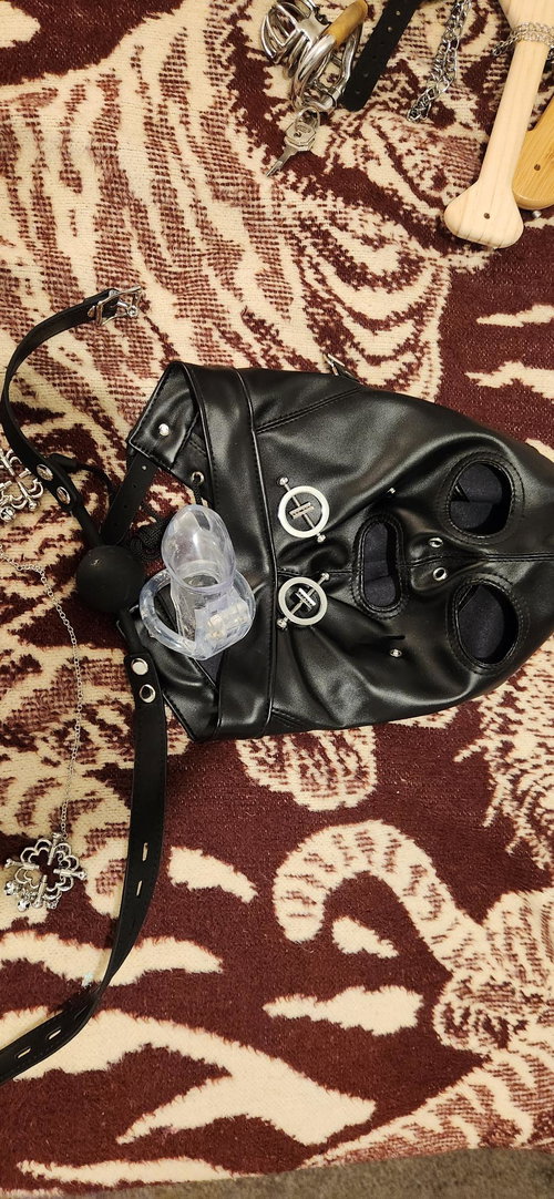 Black leather mask with metal accents, clear toy, and accessories arranged on a patterned rug.