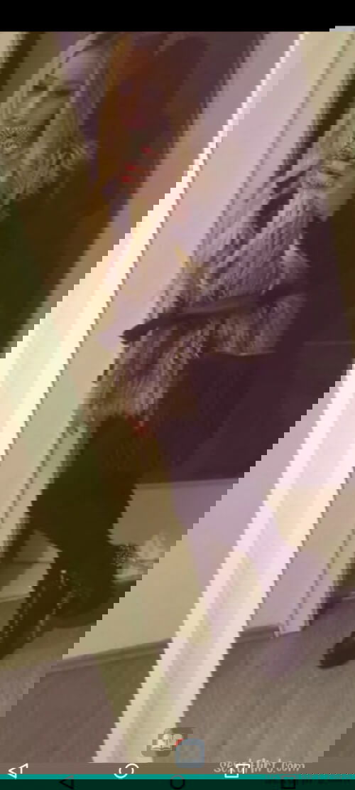 Xxx