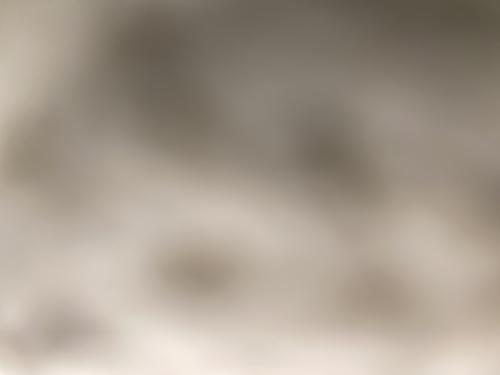 Trans Girl looking for a group of guys to be a whore for. Certain limits: Ask Me.