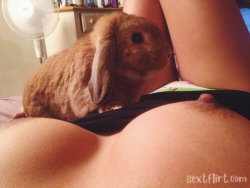 A person with a curvy build lies on their back, wearing black underwear, with a brown lop-eared rabbit resting on their
