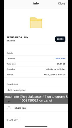 Screenshot of a cloud folder named 'TEENS MEGA LINK' with contact info for Telegram and Zangi.