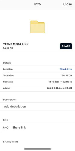 Screenshot of a cloud folder named 'TEENS MEGA LINK' with 24.34 GB size, containing 14 folders and 1622 files.