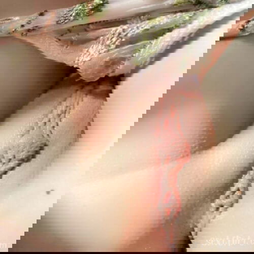 Put your disk in my ass hole