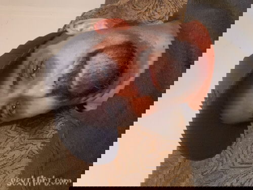 DTF