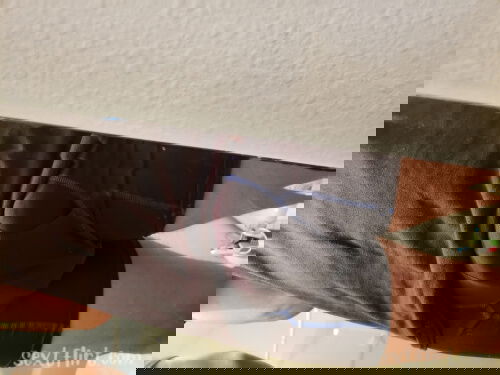My cock is ready to leave it's cage