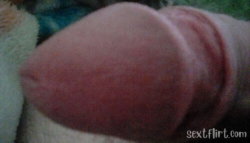 Close-up of a penis, partially erect, with surrounding skin and fabric visible.