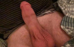Close-up of a man's erect penis partially covered by striped fabric, with visible pubic hair and skin texture.