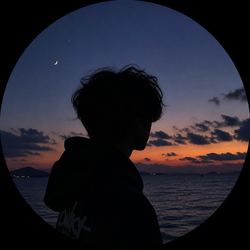 Silhouette of a person with curly hair looking out at a sunset over the ocean.