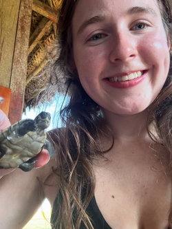 A smiling woman with long brown hair holds a small turtle in a thatched-roof setting, wearing a dark top.